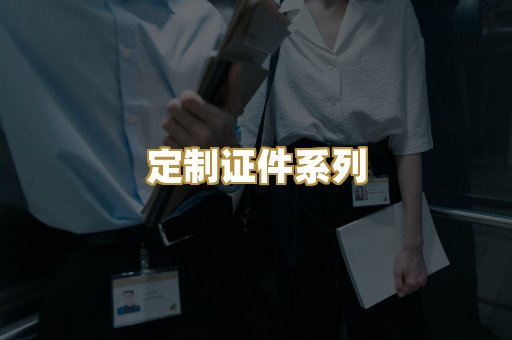 定制证件系列